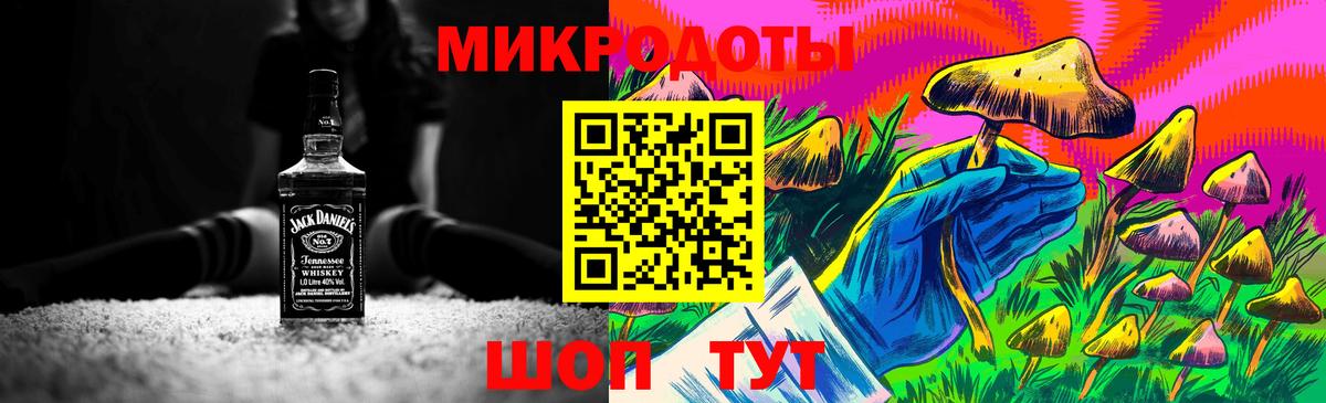 Королёв  Псилоцибиновые грибы Psilocybine cubensis  Вход с VPN 